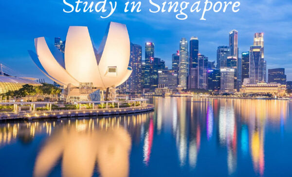 Du học Singapore nên học ngành gì?
