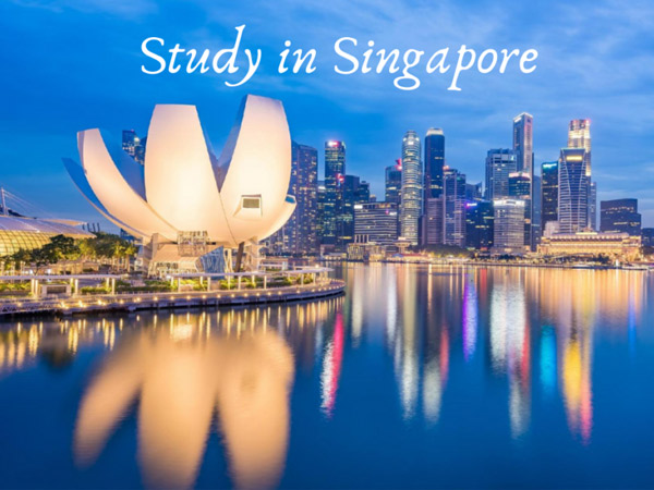 Du học singapore nên học ngành gì