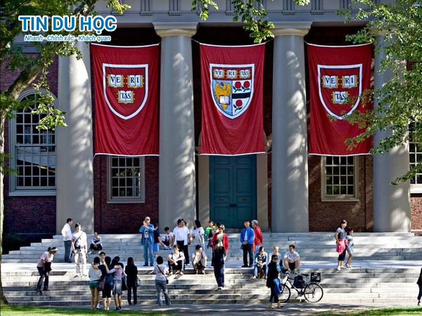 Harvard ưu tiên tuyển sinh con em, họ hàng của các cựu sinh viên