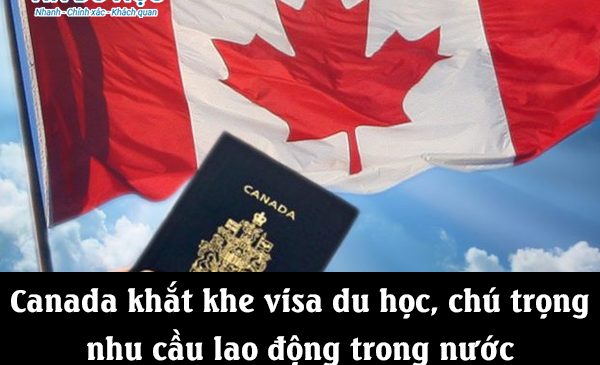 Canada ngăn chặn nhập cư trái phép qua du học