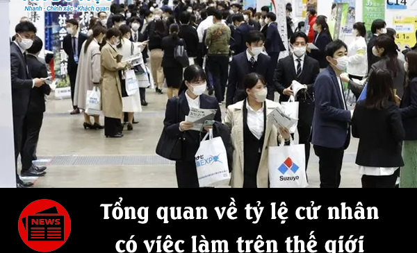 Tổng quan về tỷ lệ cử nhân có việc làm trên thế giới