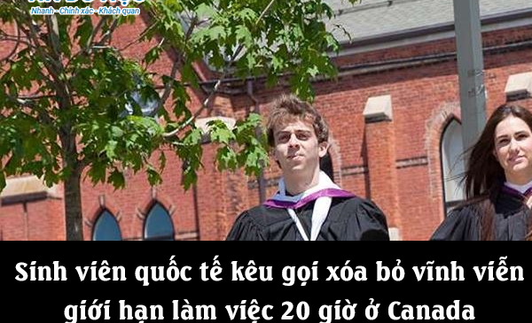 Sinh viên quốc tế kêu gọi xóa bỏ vĩnh viễn giới hạn làm việc 20 giờ ở Canada