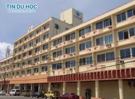 Ưu đãi học tiếng Anh tại CPILS: Giảm đến 200 USD và tặng lệ phí thi IELTS, TOEIC