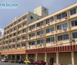 Ưu đãi học tiếng Anh tại CPILS: Giảm đến 200 USD và tặng lệ phí thi IELTS, TOEIC