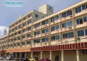Ưu đãi học tiếng Anh tại CPILS: Giảm đến 200 USD và tặng lệ phí thi IELTS, TOEIC